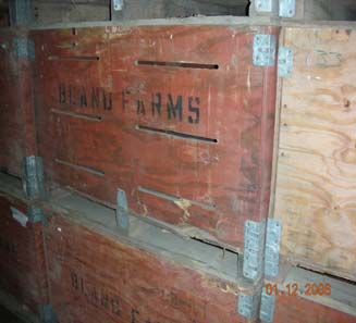 Onion Processing Case Study Old Bins