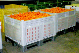 The Fruit Industry 2